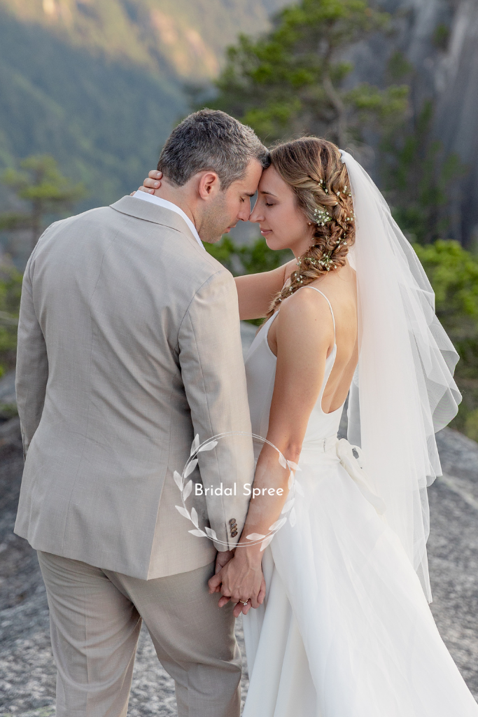 Bride wearing two tier fingertip veil with blusher and a line wedding dress for mountaintop wedding photography